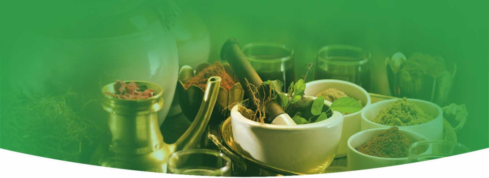Kerala Ayurveda Treatment Centre
